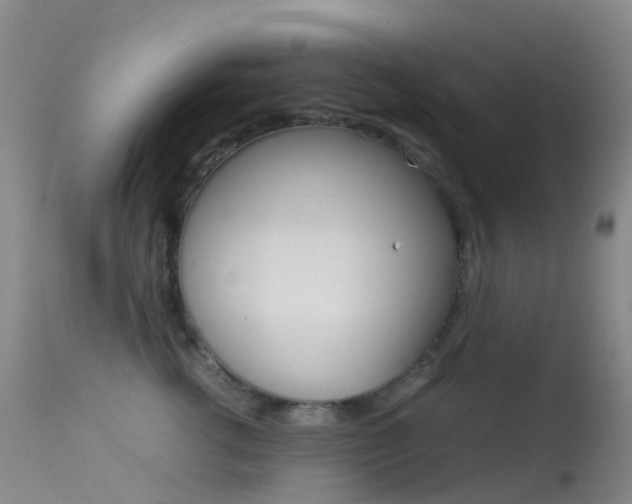 X0000113540762200909181023