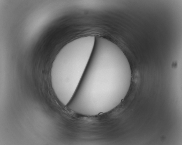 X0000113540763200909181023
