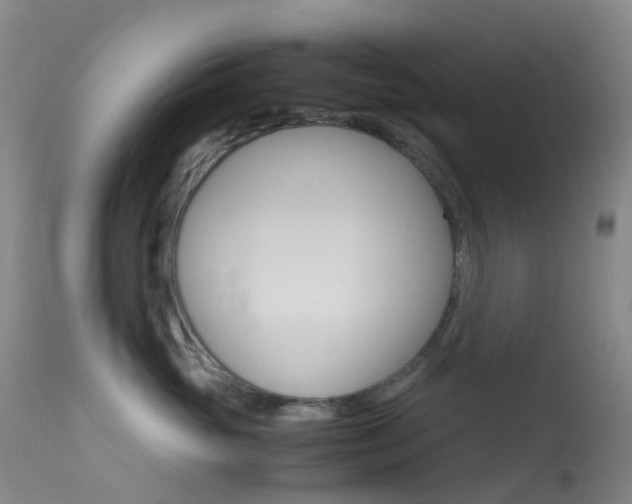 X0000113540765200909181024