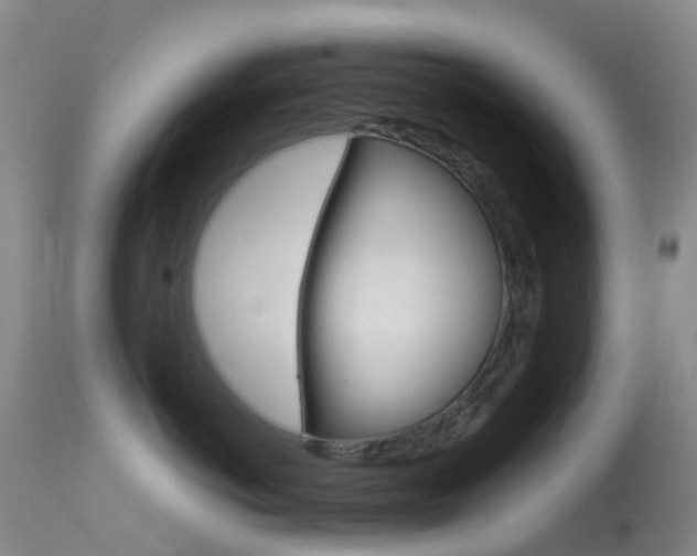X0000113540766200909181024