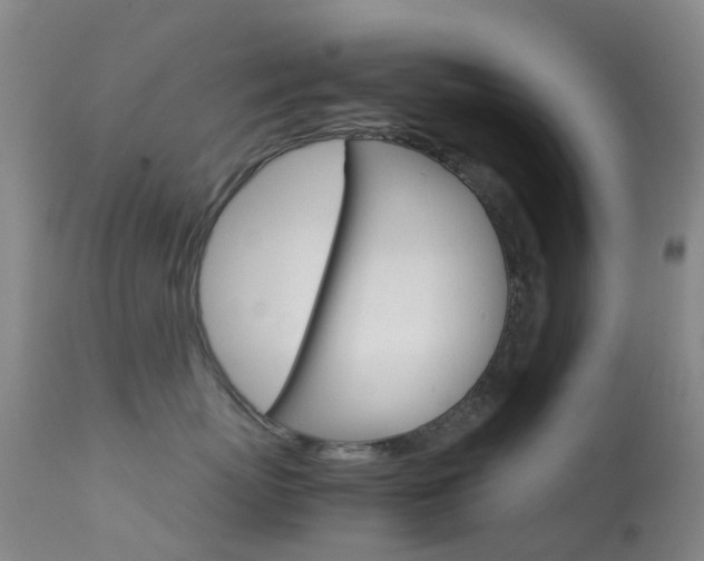 X0000113540767200909181024