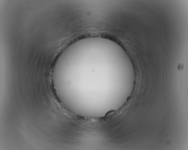 X0000113540768200909181024