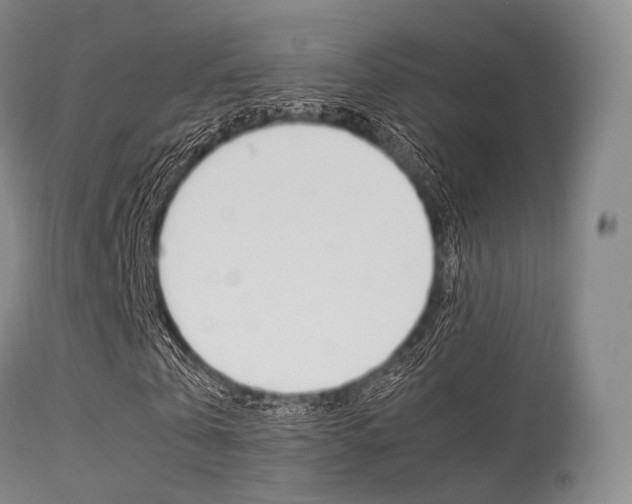 X0000113540769200909181023