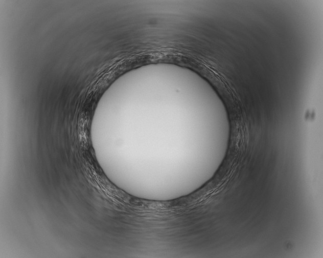 X0000113540770200909181023