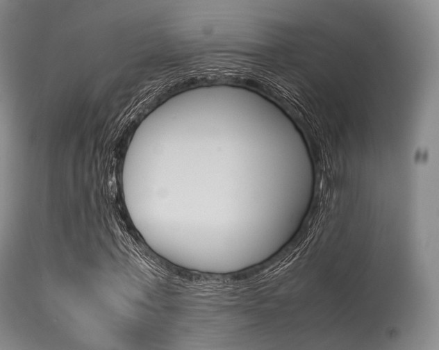 X0000113540771200909181023