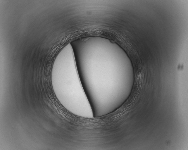 X0000113540772200909181023