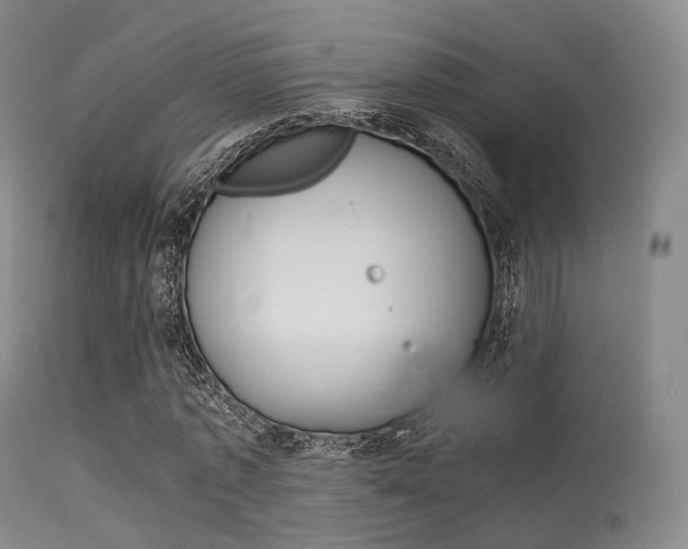 X0000113540773200909181023