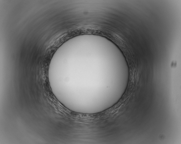 X0000113540774200909181023