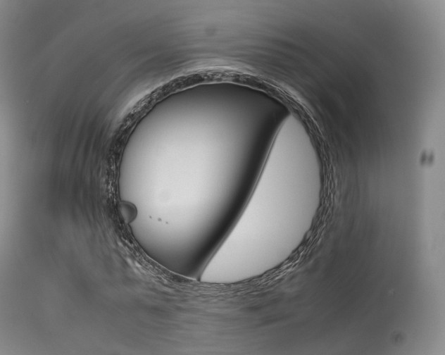 X0000113540775200909181023