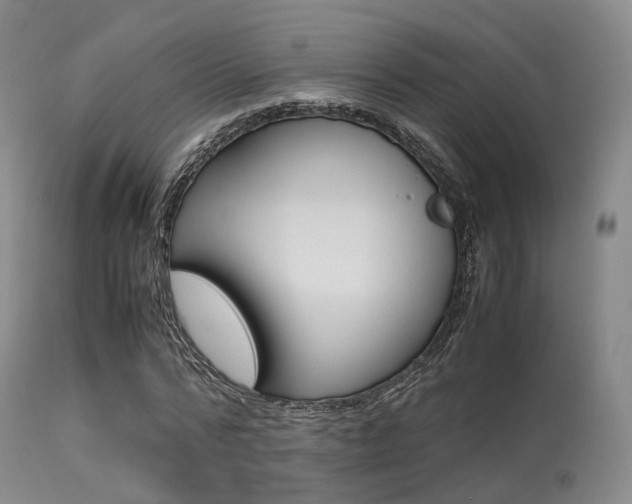 X0000113540776200909181023