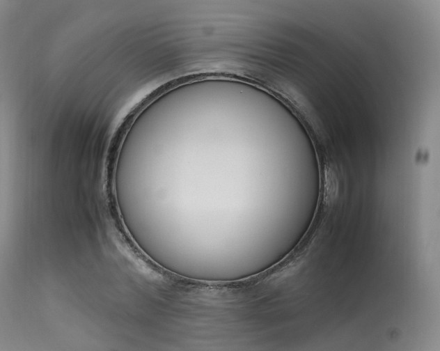 X0000113540780200909181023