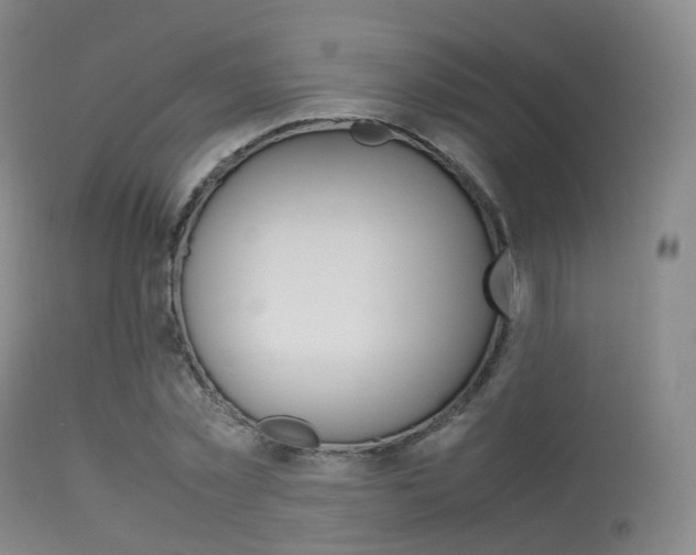 X0000113540781200909181023