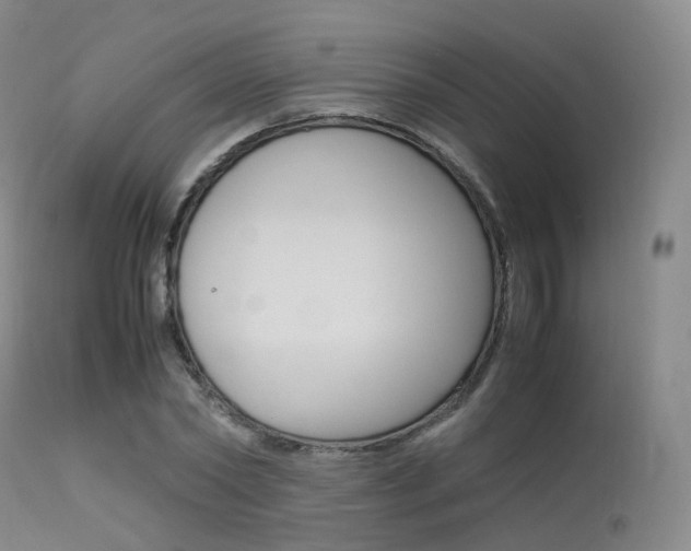 X0000113540782200909181023