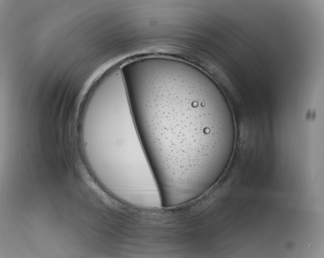 X0000113540784200909181023