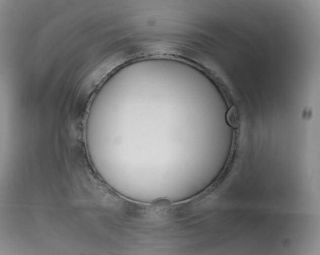 X0000113540785200909181023
