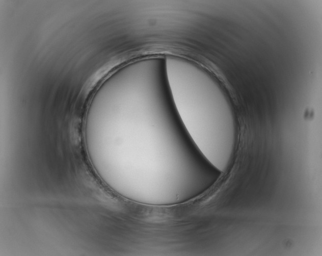 X0000113540786200909181023