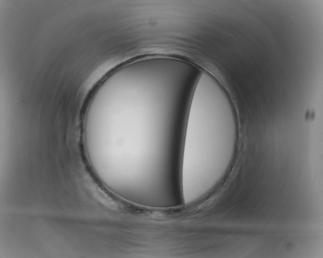 X0000113540787200909181023