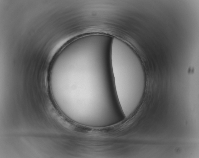X0000113540788200909181023