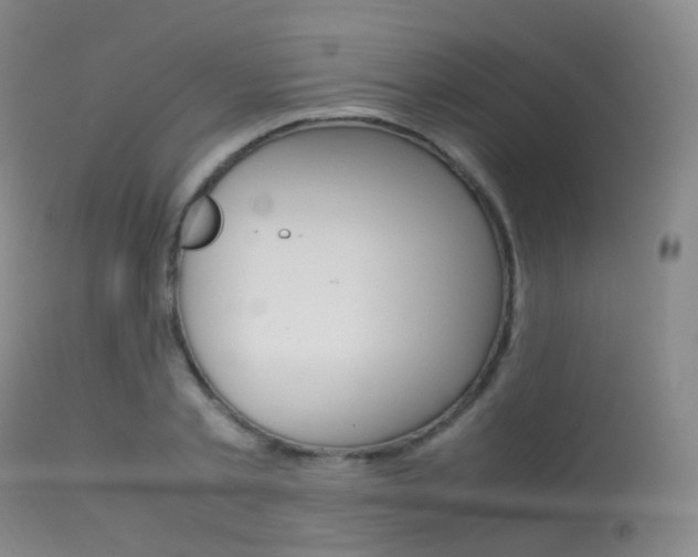 X0000113540789200909181023