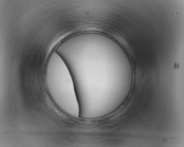 X0000113540790200909181023