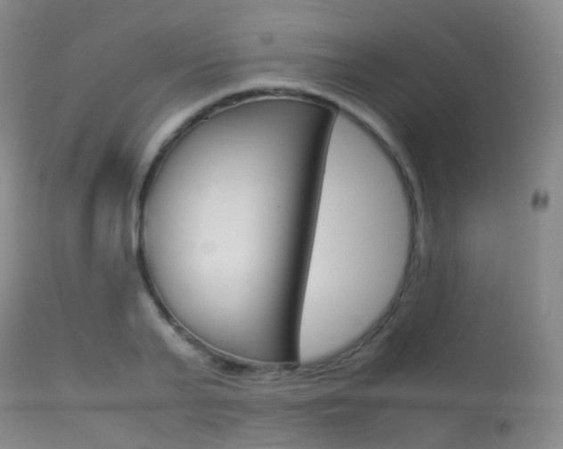 X0000113540791200909181023