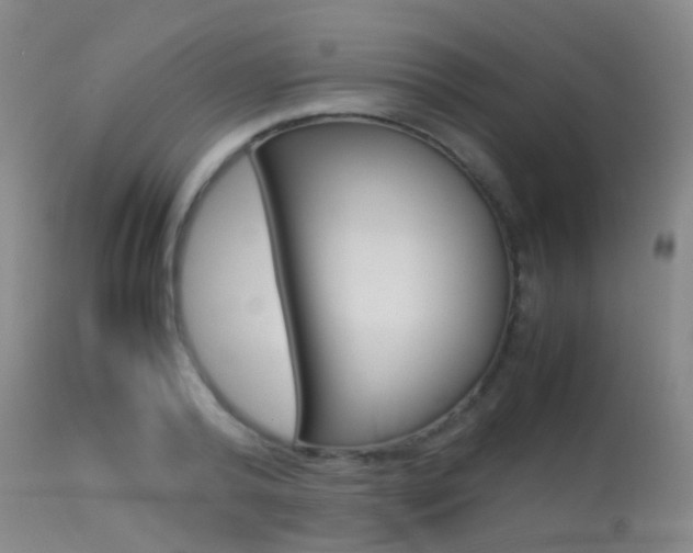 X0000113540792200909181023