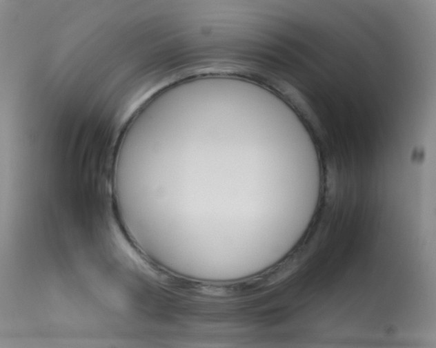X0000113540794200909181023