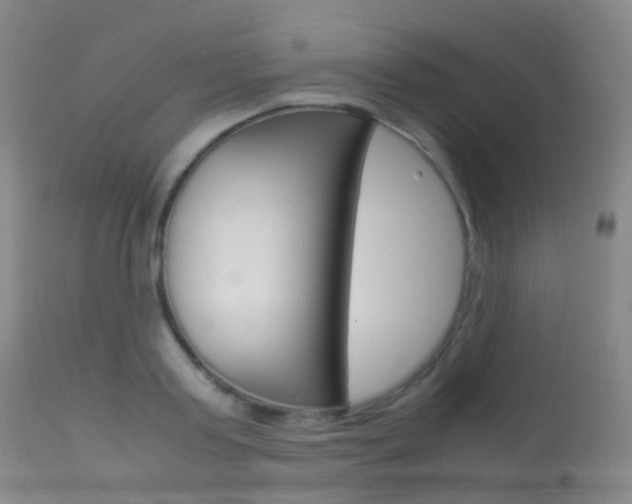 X0000113540795200909181023