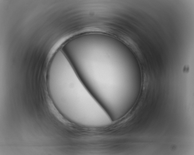 X0000113540796200909181023