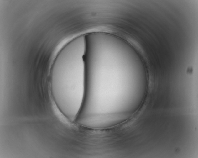 X0000113540800200909181022