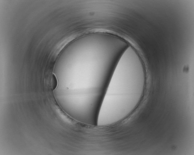 X0000113540801200909181022