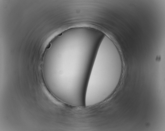 X0000113540805200909181022