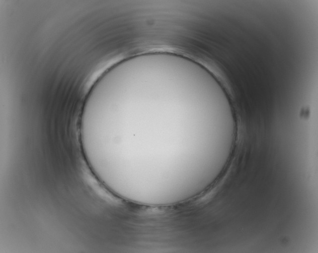 X0000113540806200909181022