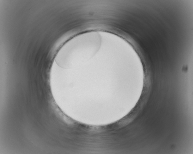 X0000113540807200909181022