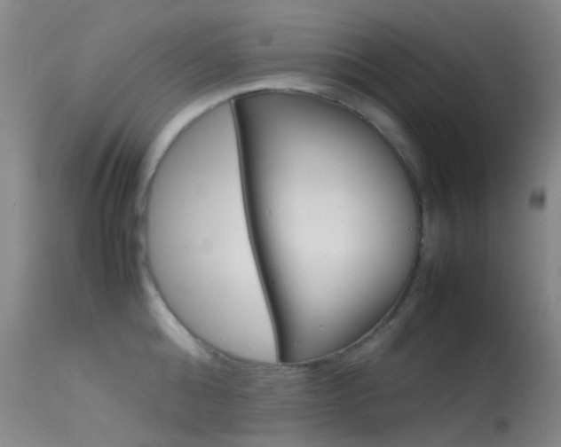 X0000113540808200909181022