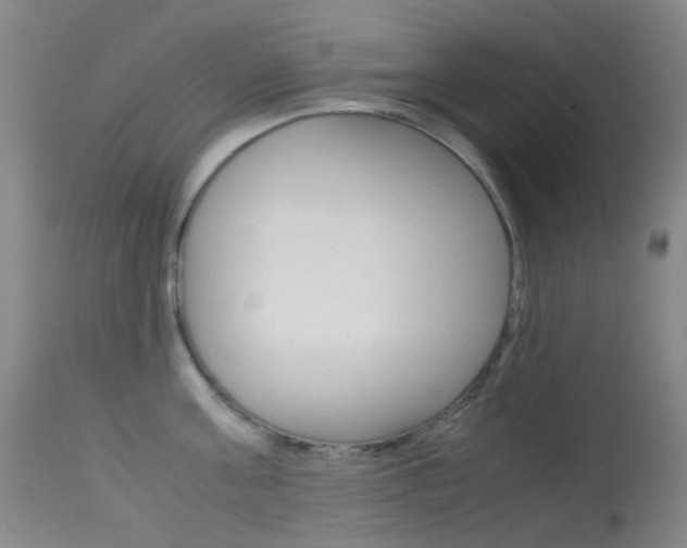 X0000113540811200909181022