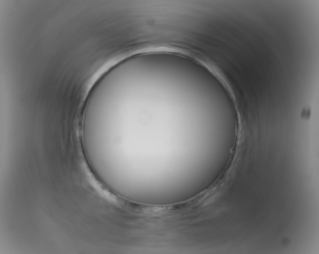 X0000113540813200909181022
