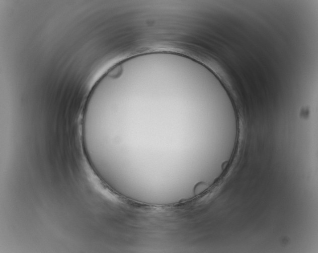 X0000113540814200909181022