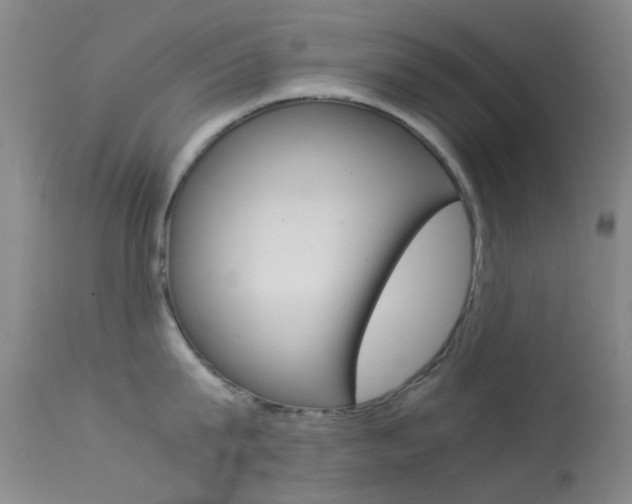 X0000113540815200909181022