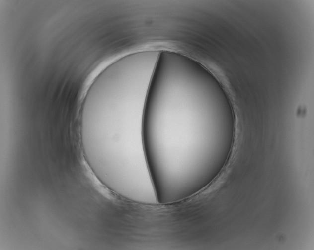 X0000113540816200909181022