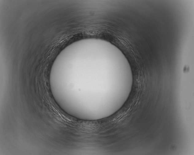 X0000113540817200909181021