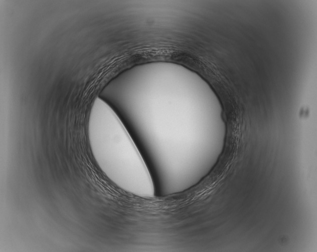 X0000113540818200909181021