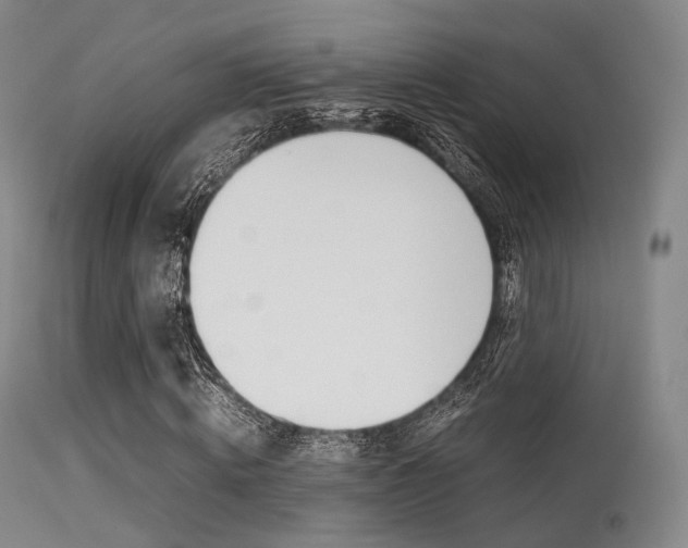 X0000113540820200909181021