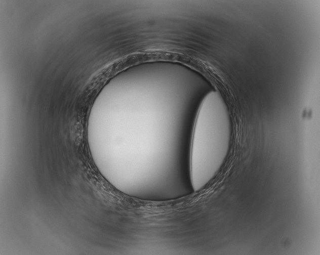 X0000113540821200909181021