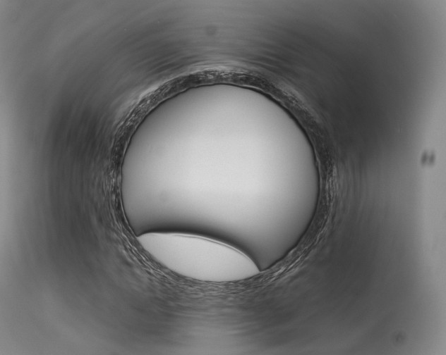 X0000113540822200909181021