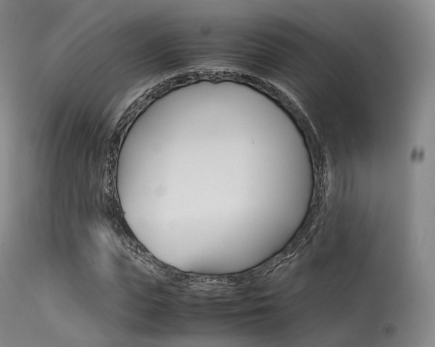 X0000113540823200909181021