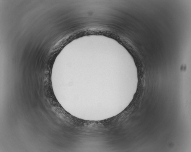 X0000113540824200909181021