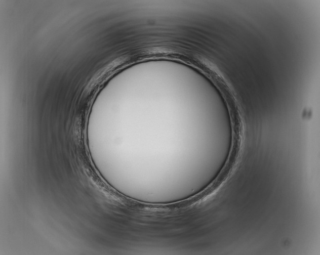 X0000113540825200909181021