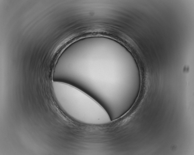 X0000113540826200909181021