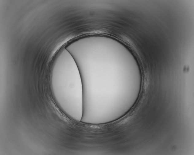 X0000113540827200909181021